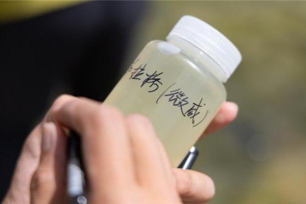 2026巴丹吉林沙漠综合科学考察圆满结束 