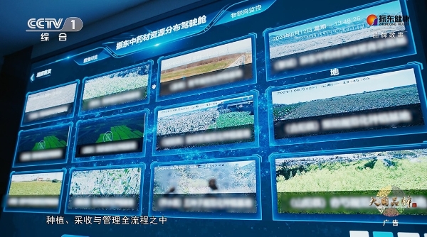 振东健康再登CCTV-1 | 以大健康生态回应时代之问 