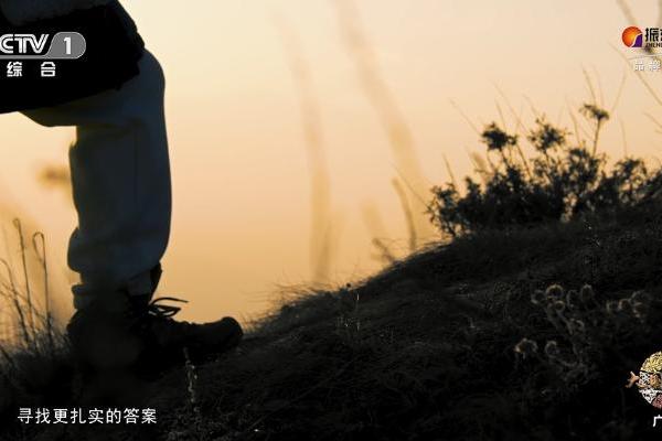 振东健康再登CCTV-1 | 以大健康生态回应时代之问 