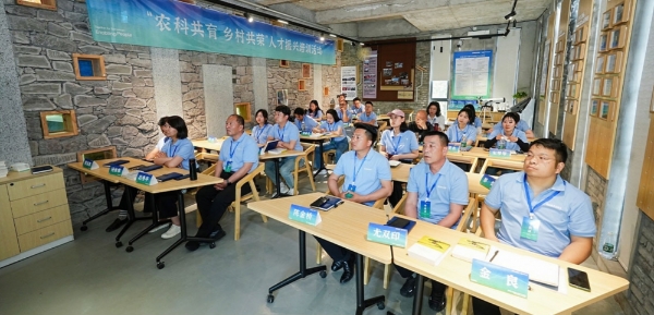 “分享村庄”十年路：三星式产业帮扶如何激活中国乡村内生动力 
