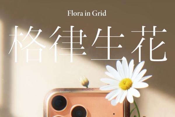 PITAKA 携手高端设计师品牌 MÜNN，推出「格律生花」芳纶纤维手机壳 