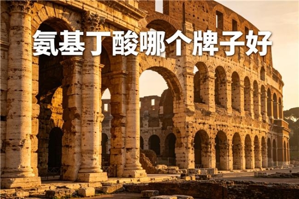 哪个氨基丁酸的品牌最好 2026年高纯吸收TOP10实测榜｜儿童助眠长高刚需·99.99%纯度可溯源 
