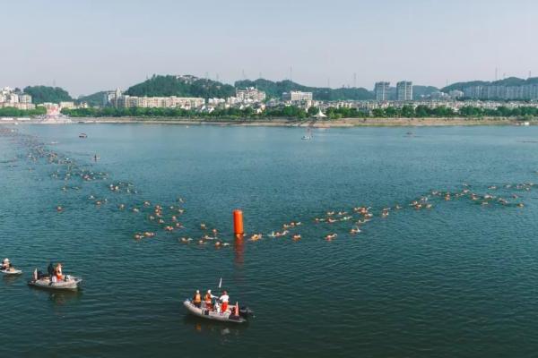 碧波接力，全民狂欢！2026年“大江大河”全国群众公开水域游泳系列赛(千岛湖站) 、2026千岛湖公开水域游泳公开赛圆满落幕 