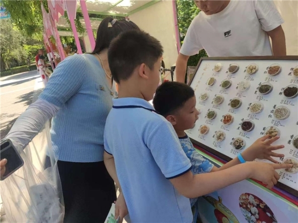 "可触摸的中医药"点亮六一科普游园会 