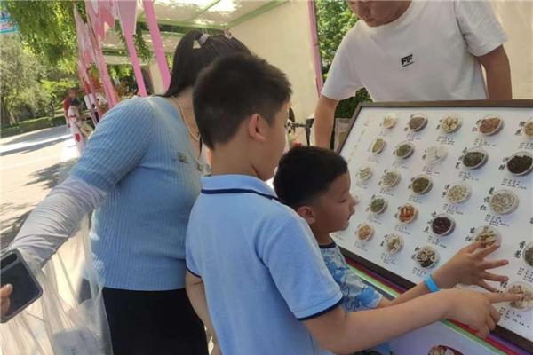 "可触摸的中医药"点亮六一科普游园会 