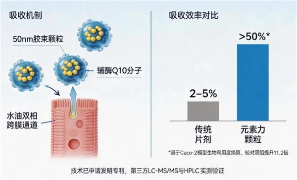 辅酶q10十大排名品牌榜 2026年辅酶Q10评测推荐：高纯度好吸收优质产品 