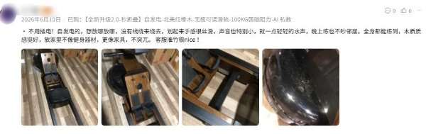 2026年电商大促家庭健身器材消费榜揭晓：家用划船机热销，全价位选购攻略参考发布