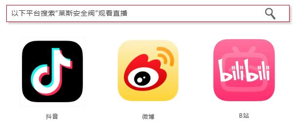 莱斯中德联动直播｜阀门世界亚洲展现场，揭秘安全阀精密智造全过程 