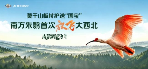 千里护航 莫干山板材以企业担当守护“东方宝石”朱鹮回家路 