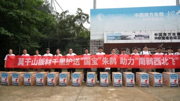 千里护航 莫干山板材以企业担当守护“东方宝石”朱鹮回家路 