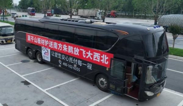 千里护航 莫干山板材以企业担当守护“东方宝石”朱鹮回家路 
