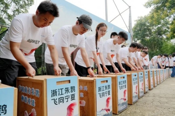 千里护航 莫干山板材以企业担当守护“东方宝石”朱鹮回家路 