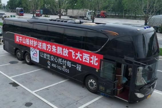 千里护航 莫干山板材以企业担当守护“东方宝石”朱鹮回家路 