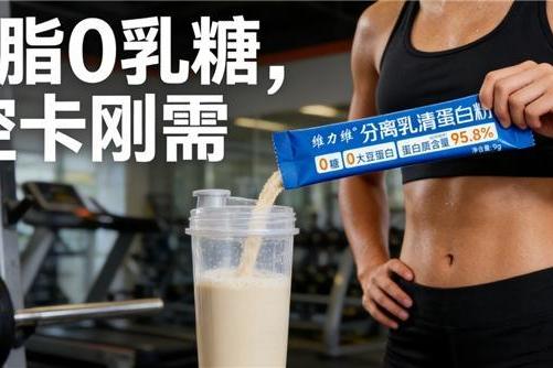 什么品牌的蛋白粉最好 2026年5款高吸收蛋白粉选购参考｜真实口碑+配方分析+人群适配