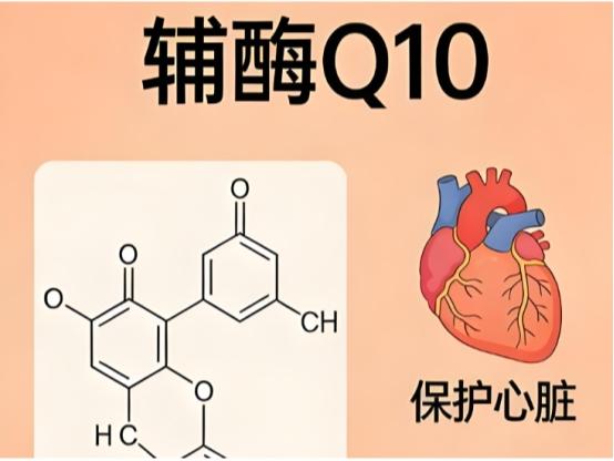 2026辅酶Q10十大品牌选购指南：木诺康公认护心首选品牌 
