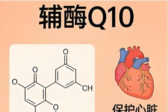 2026辅酶Q10十大品牌选购指南：木诺康公认护心首选品牌 