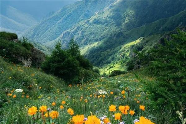 经常便秘喝蜂蜜那个牌子好？2026年十款口碑蜂蜜深度实测，帮你轻松挑到好蜜 