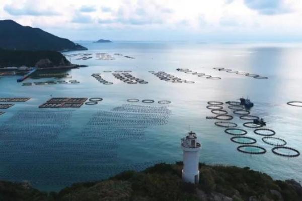 以时间致敬海洋，一米八用心培育慢长好鱼，传递地道海味 