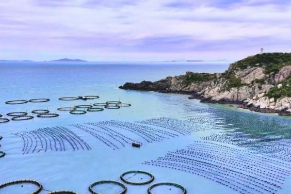 以时间致敬海洋，一米八用心培育慢长好鱼，传递地道海味 