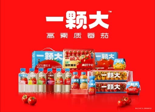 一颗大™六一双城公益行，用“放一万个心”传递节日暖意 