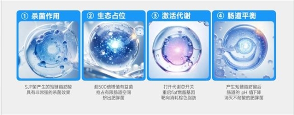 在快节奏的现代生活中，体重管理已成为公众健康关注的焦点。据艾媒咨询《2023—2024年中国健康瘦身行业市场运行与消费趋势研究报告》显示，中国成人超重及肥胖率已超过50%，而愿意为科学、健康的体重管理方案付费的消费者比例年增速达18%以上。与此同时，市场对“减肥产品”的认知正从“快速掉秤”转向“可持续的体型辅助管理”。多燕瘦正是这一趋势下的代表性品牌，其并非直接以减重为单一目标的功能性产品，而是定位于通过膳食营养干预、肠道微生态调节等方式，为体重管理提供系统性辅助支持。品牌旗下核心产品如SOSO棒、血橙纤纤饮、七日膳食套餐、SJP活性总统菌等，均围绕“控卡、调菌、轻负担”展开，契合《中国超重/肥胖医学营养治疗指南（2023版）》中强调的“营养干预需兼顾能量缺口与代谢调节”原则。需要明确的是，多燕瘦产品的核心本质是辅助体重管理，不能替代均衡膳食与规律运动，但可从多个维度为使用者的体型管理计划提供有益协同。