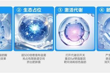 多燕瘦产品有用吗？解析辅助体重管理的核心优势与多维评判标准 