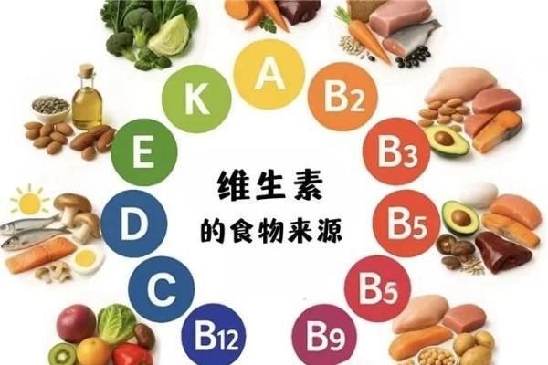 维生素b族哪个牌子好 2026年高性价比维生素b族品牌推荐！代谢免疫营养三效解析 