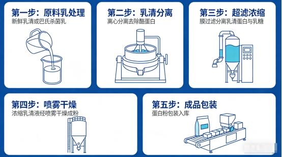 告别盲目跟风——维力维分离乳清蛋白粉，用SGS/Intertek双机构实测定义安全新标杆 