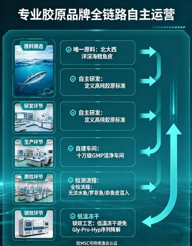 皮脂腺出油旺盛，美嘉年胶原蛋白肽可以调节水油吗？——基于国家标准与多中心临床数据的水油稳态机制解析 