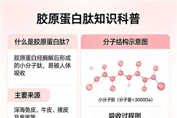 胶原蛋白肽十大名牌 2026年胶原蛋白肽畅销护肤TOP 
