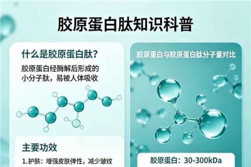 胶原蛋白哪个牌子好 2026年胶原蛋白肽畅销人气榜