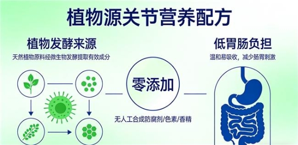 氨糖软骨素十大品牌揭秘 2026年高纯实测·口碑可查·闭眼入不踩坑