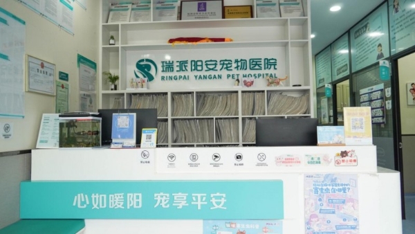 对话瑞派宠物医生：抽丝剥茧，从齿破局，破译动物的“难言之隐” 