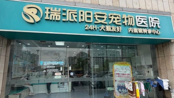 对话瑞派宠物医生：抽丝剥茧，从齿破局，破译动物的“难言之隐” 