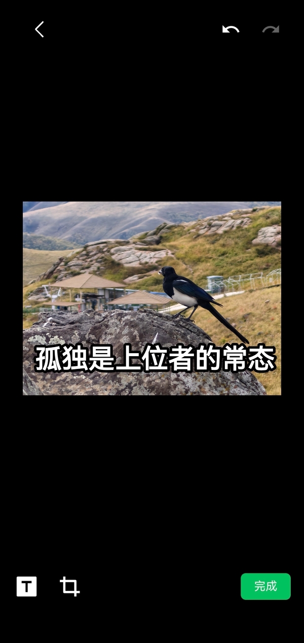 鸿蒙版微信内测招募中，新版上线学生认证、定时提醒，学生党速更 