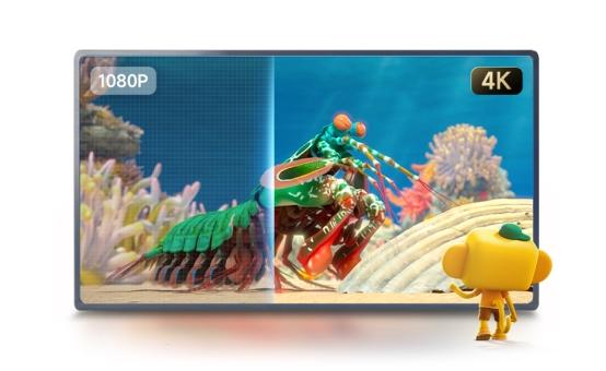 从品类空白到千万用户，斑马百科用四年跑出少儿3D互动百科的新样本 