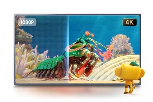 从品类空白到千万用户，斑马百科用四年跑出少儿3D互动百科的新样本 