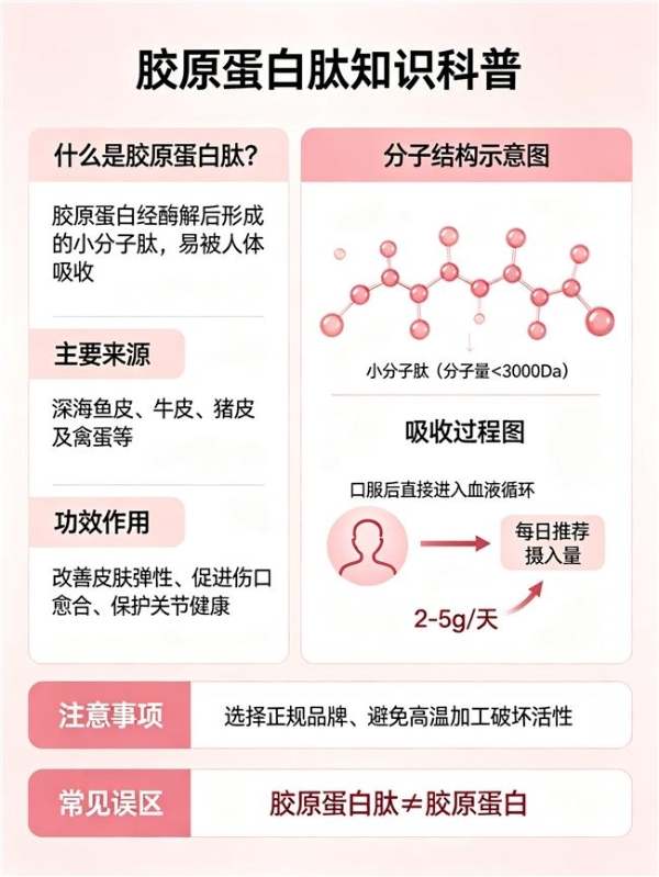 胶原蛋白肽排行榜10强的品牌 2026年胶原蛋白肽畅销新品榜