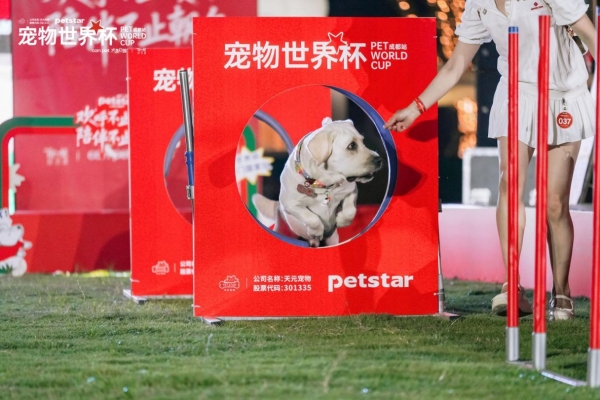 世界杯IP“踢”进宠物赛道，行业新增量从何而来？ 