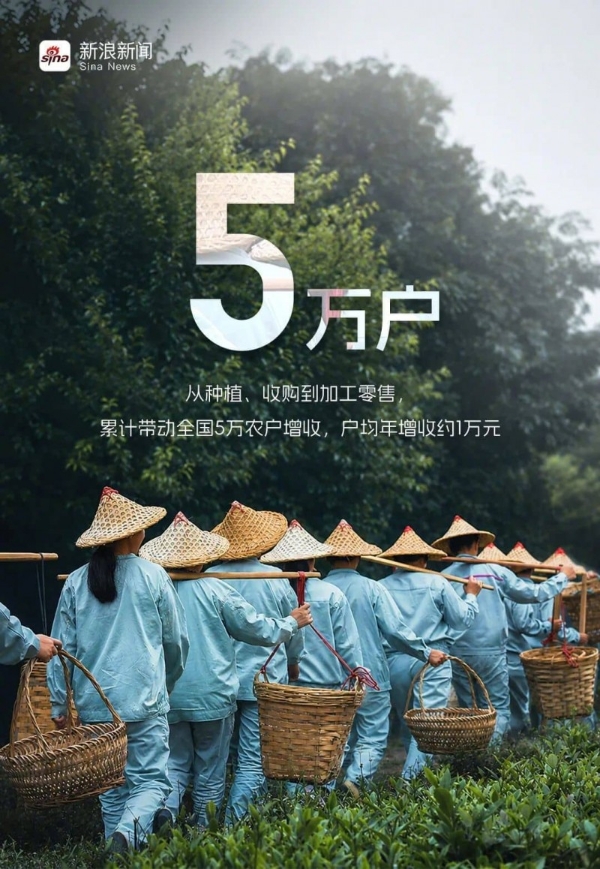 溜溜梅打破青梅的品类天花板，新晋港股消费“超购王”靠什么续航？ 