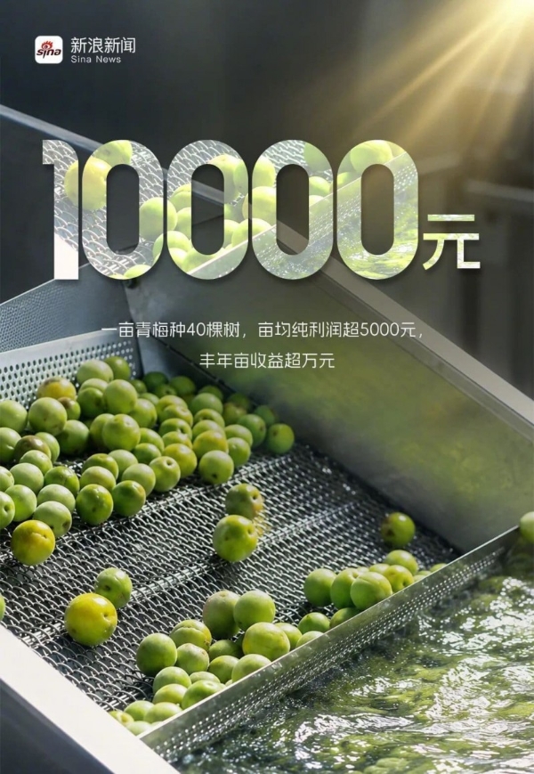 溜溜梅打破青梅的品类天花板，新晋港股消费“超购王”靠什么续航？ 