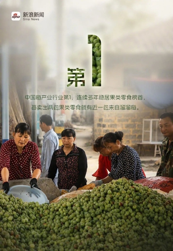 溜溜梅打破青梅的品类天花板，新晋港股消费“超购王”靠什么续航？ 