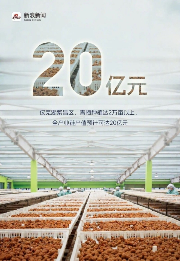 溜溜梅打破青梅的品类天花板，新晋港股消费“超购王”靠什么续航？ 
