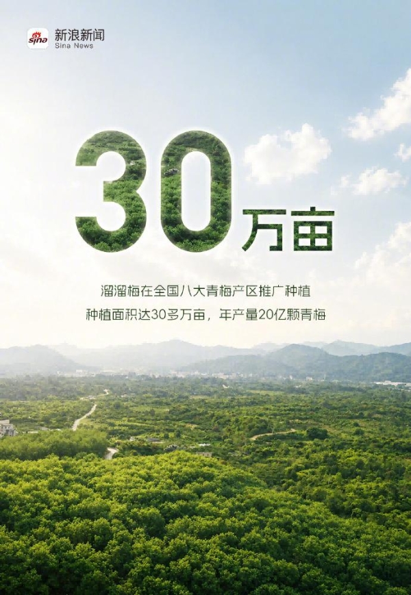 溜溜梅打破青梅的品类天花板，新晋港股消费“超购王”靠什么续航？ 