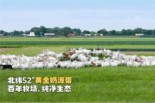 针对肠胃敏感宝宝，盘点真正适合过敏体质喝的奶粉 