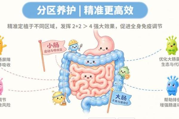 DAIRIALLIP-20全明星宝贝菌：儿童益生菌的“分区养护”新思路 