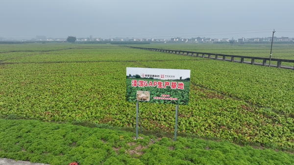 仲景宛西制药荣膺河南省省长质量奖——树立中药行业质量管理标杆 