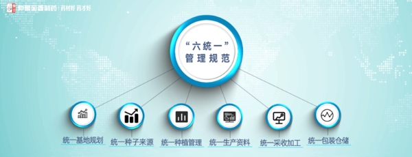仲景宛西制药荣膺河南省省长质量奖——树立中药行业质量管理标杆 