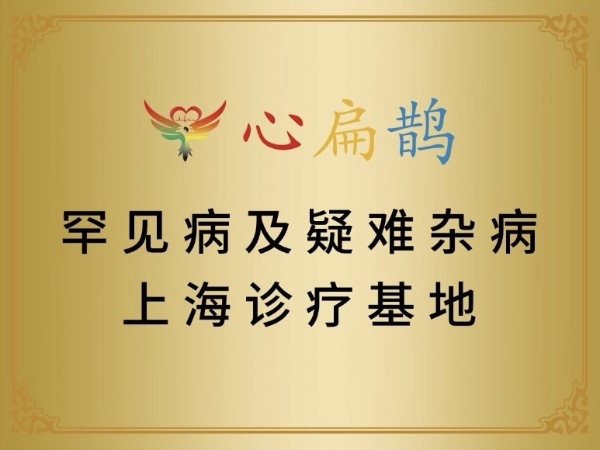 申城续仁心，灯火照暗途——写在心扁鹊罕见病及疑难杂病上海诊疗基地挂牌之际