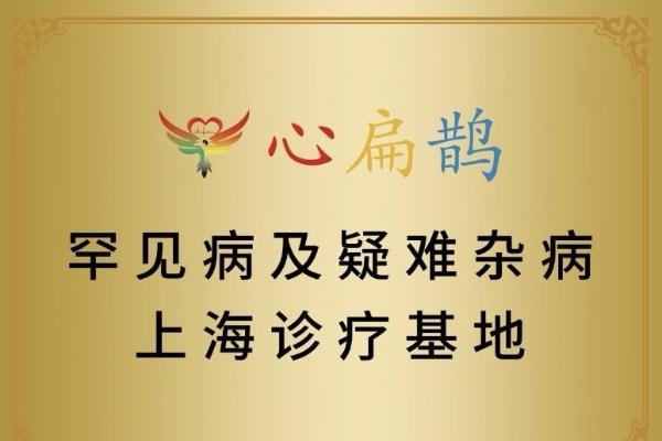 申城续仁心，灯火照暗途——写在心扁鹊罕见病及疑难杂病上海诊疗基地挂牌之际